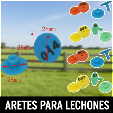 Arete para lechones