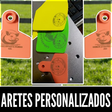 Aretes personalizados