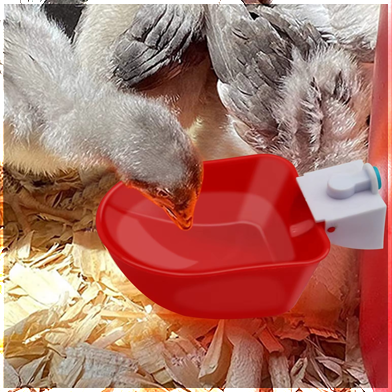 Bebedero basculante para pollos, aves 11x9cm, rojo