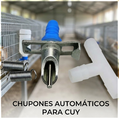 Chupones para cuy automático