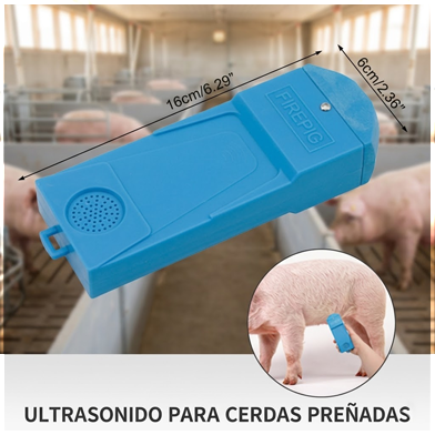Ultrasonido para cerdas preñadas