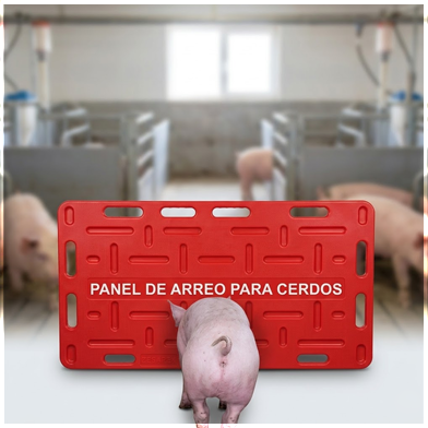 Panel de arreo para cerdos