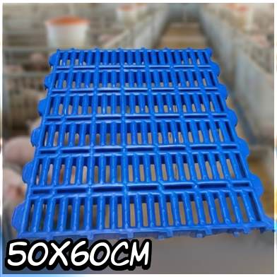 Piso slat para lechón, 50x60 cm